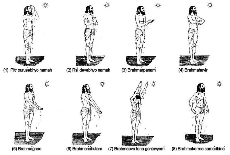 File:Pp-all-no arrows.jpg